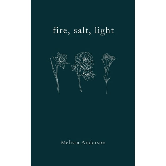 fire, salt, light, (Hardcover)