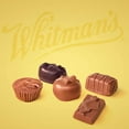 thumbnail image 4 of Whitman's Sampler Gift Box of Assorted Chocolates, 36 Ounce (72 Pieces), 4 of 4