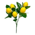 thumbnail image 1 of limón artificial, limones espuma, arreglo floral, elegante decoración para hogar, planta limón para patio, fiesta, mesa, jarrón, boda A, 1 of 8