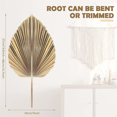 thumbnail image 2 of 30Pcs Natural Dried Palm Leaves Tropical Dried Palm Fans Boho Dry Leaves Decor for Home Kitchen Wedding, 2 of 7