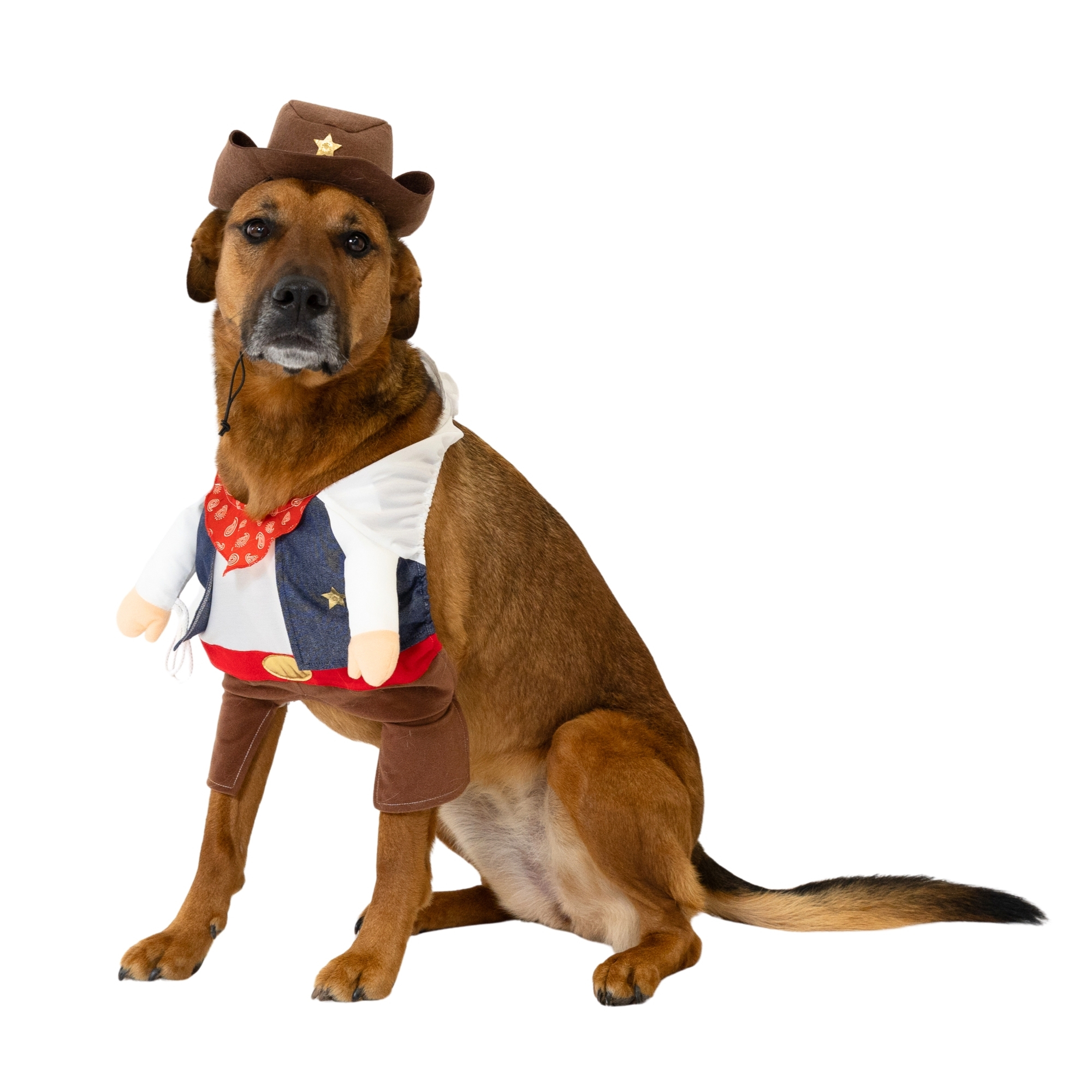 Vibrant Life Halloween Cowboy Costume for Dogs, Multicolor, Large