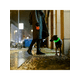 thumbnail image 4 of USB Charge Glowing Collar Bright For Night Safety,Adjustable Luminous Collars For Night Walking, 4 of 4