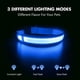 thumbnail image 2 of Collar para perros azul S recargable e impermeable con luz LED intermitente y cinturón ajustable para perros pequeños, medianos y grandes., 2 of 5