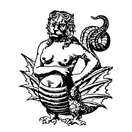 mythology harpies nwoodcut of a harpy from a 16th century german