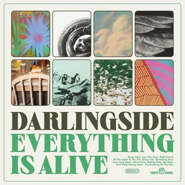 Darlingside - Everything Is Alive - Music & Performance - Vinyl