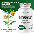 thumbnail image 4 of HALLUSA NATURAL Chanca Piedra Capsules 1000 mg - Stone Breaker, Kidney Cleanse, Urinary Tract Support & Gallbladder Supplement, Fhyllantus Nirury - 60 Count - Dietary Supplements, 4 of 9