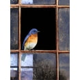 thumbnail image 2 of Vest, Chris 19x24 Black Ornate Wood Framed with Double Matting Museum Art Print Titled - Bluebird Window, 2 of 4