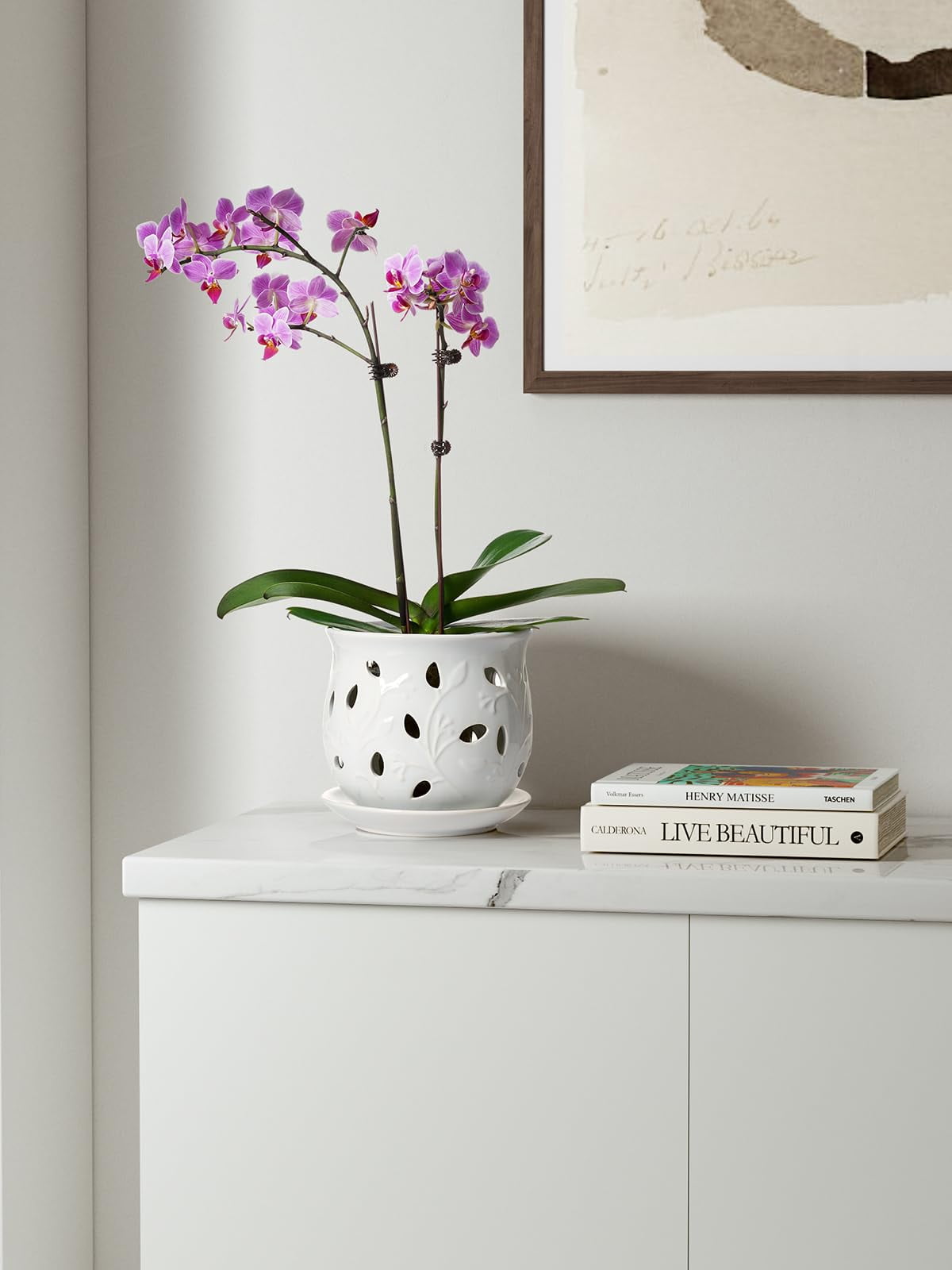 LE TAUCI Orchid Pot, 6.5 Inch Ceramic Planter with Drainage Hole and Saucer, White Indoor Plant Pot for Repotting(Plant not included)