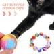 thumbnail image 3 of Gongxipen 20 piezas de bolas de juguete para gatos, lindas bolas de hilo de arco iris, divertidas bolas peludas para gatitos, 3 of 8