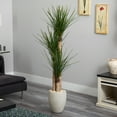 thumbnail image 2 of Nearly Natural 64in. Yucca Artificial Tree in Sand Colored Planter, Green, 2 of 4