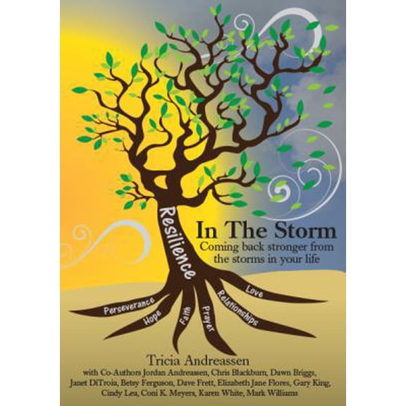 Pre-Owned Resilience In The Storm: Coming Back Stronger From The Storms In Your Life (Paperback) 1946265020 9781946265029