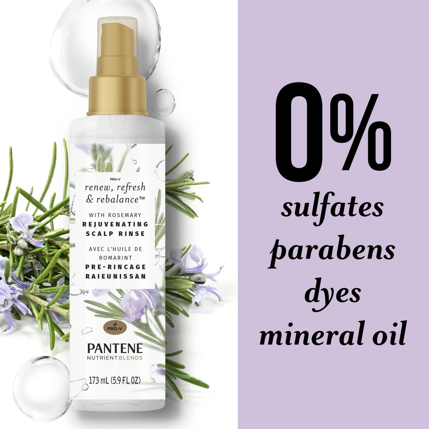 PANTENE Rosemary NUTRIENT BLENDS Rejuvenating Scalp Rinse, 5.8 fl oz/173 mL