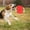 Red, variant on Hohaski Cloth Rope Pet Flying Disc Pet Toys Snap Proof Dog Training Toys Pet Teething Toys Outdoor Dog Flying Disc Fabric Pet Educational Toys