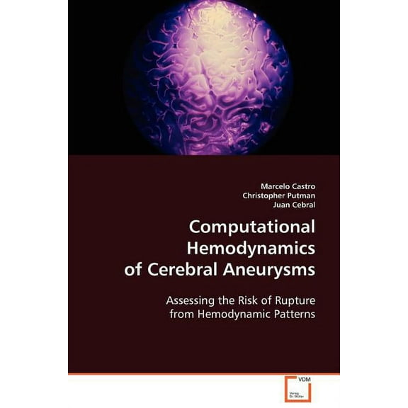 Computational Hemodynamics of Cerebral Aneurysms (Paperback)