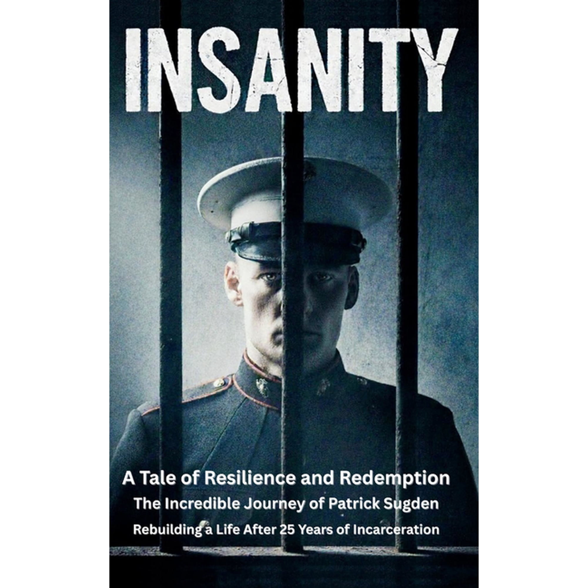 Insanity: A Tale of Resilience and Redemption (Hardcover)