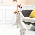 thumbnail image 3 of Ltdhehe Interactive Puppy Chewing Rope For Dogs Portable Molar Chew Toy With Strong Resistance, 3 of 4