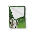 thumbnail image 2 of Dog Soft Flannel Fleece Throw Blanket, Pets Puppy Family in the Garden Australian Shepherds and a Cat Scenery, Cozy Plush for Indoor and Outdoor Use, 50" x 70", Cream Grey Fern Green, by Ambesonne, 2 of 5