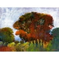 thumbnail image 3 of Tienhaara, Michael 18x15 Black Modern Framed Museum Art Print Titled - Aura Of Fall IV, 3 of 5