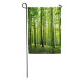 thumbnail image 1 of JSDART Arbre Soleil dans la Forêt Verte Printemps Bois Luxuriant Jardin Drapeau Décoratif Drapeau Maison Bannière 28x40 Pouces, 1 of 2