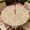 Beige Lattice Trellis, variant on YESAD Round Outdoor Tablecloth For Up To 36in With Umbrella Hole & Zipper Waterproof Elastic Edge Fitted Table Cover Big Sunflower For Patio Picnic Party, Graphite Wood Slats