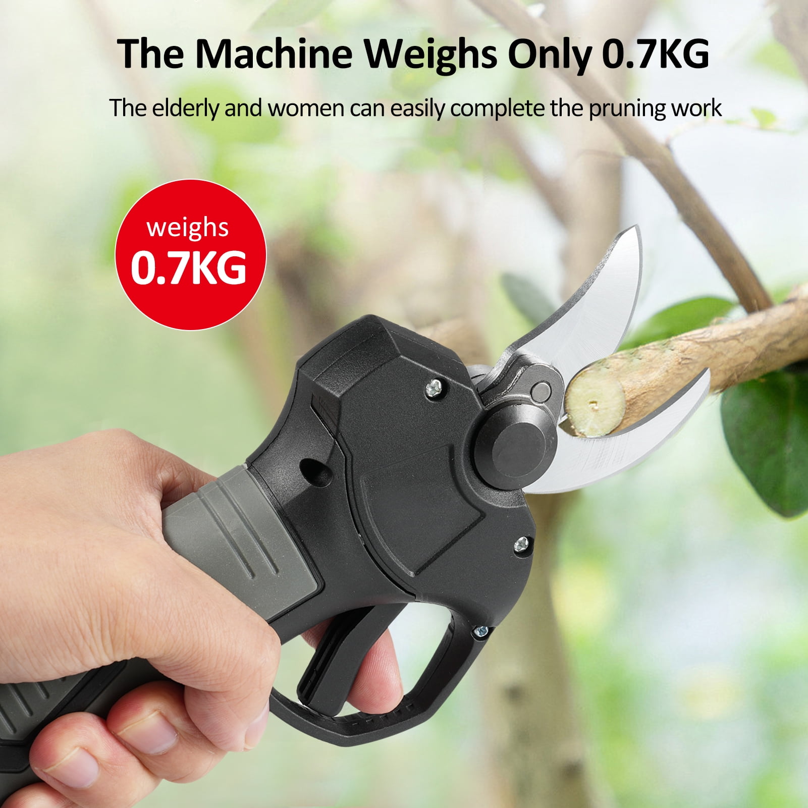 Anself 21V Portable Handheld Cordless Electric Pruning Shears with Carry Case, 2000mAh Rechargeable Battery, 30mm Cutting Diameter, Ideal for Garden
