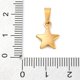 thumbnail image 3 of 304 Stainless Steel Charms Star Golden 13.5x10.5x3.5mm Hole: 6x3mm, 3 of 3