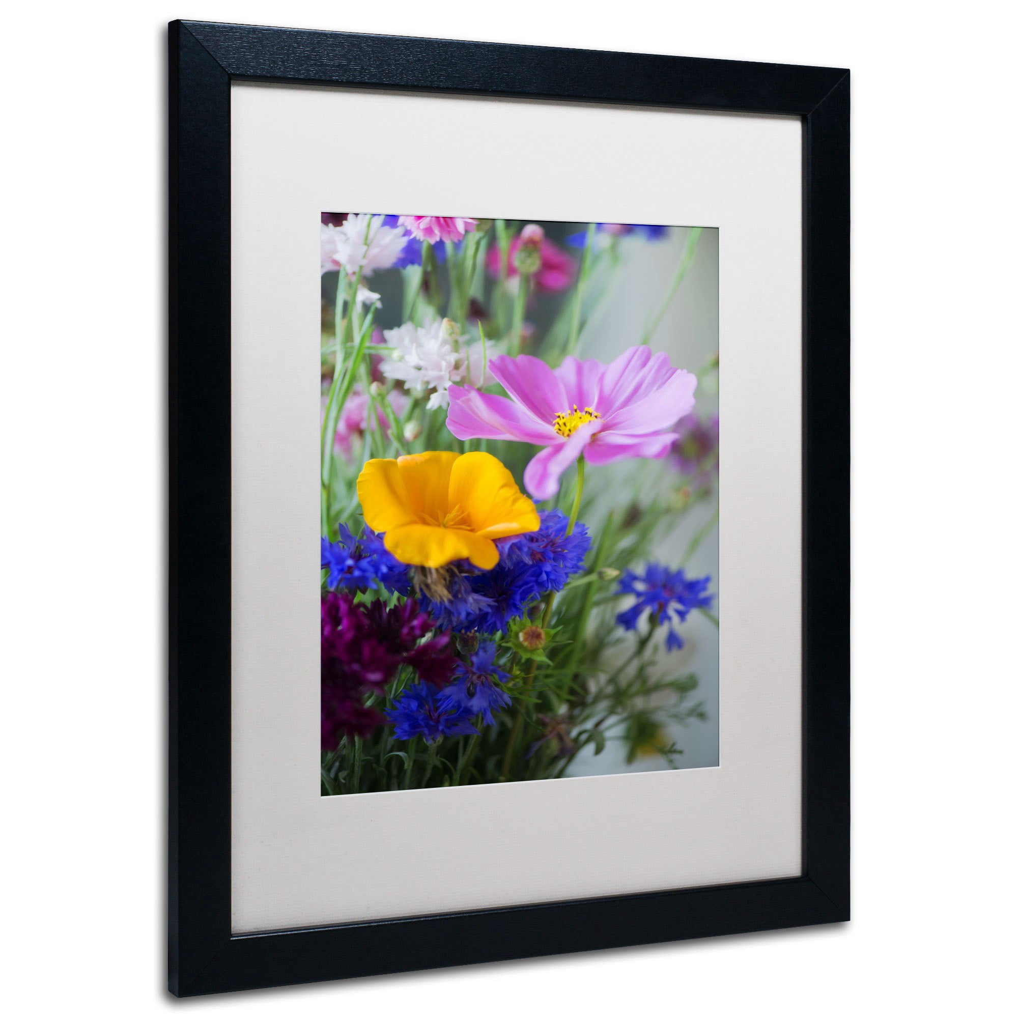 Trademark Fine Art "Cosmo Duo" Canvas Art by Philippe Sainte-Laudy, White Matte, Black Frame