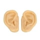thumbnail image 1 of Modelo De Oreja De Silicona, Modelo De Práctica De Perforación De Oreja Ligero, Flexible Y Realista, 1 Par Para Exhibición De Aretes, 1 of 7