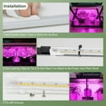 thumbnail image 6 of Plant Grow Light 4 Head, 6000K Red Blue Spectrum Grow Lamp for Indoor Plants with 3/9/12H Timer & 10 Dimmable Levels, 13 inch LED Grow Light Strips Plant Light for Green House Hydroponics Succulent, 6 of 6