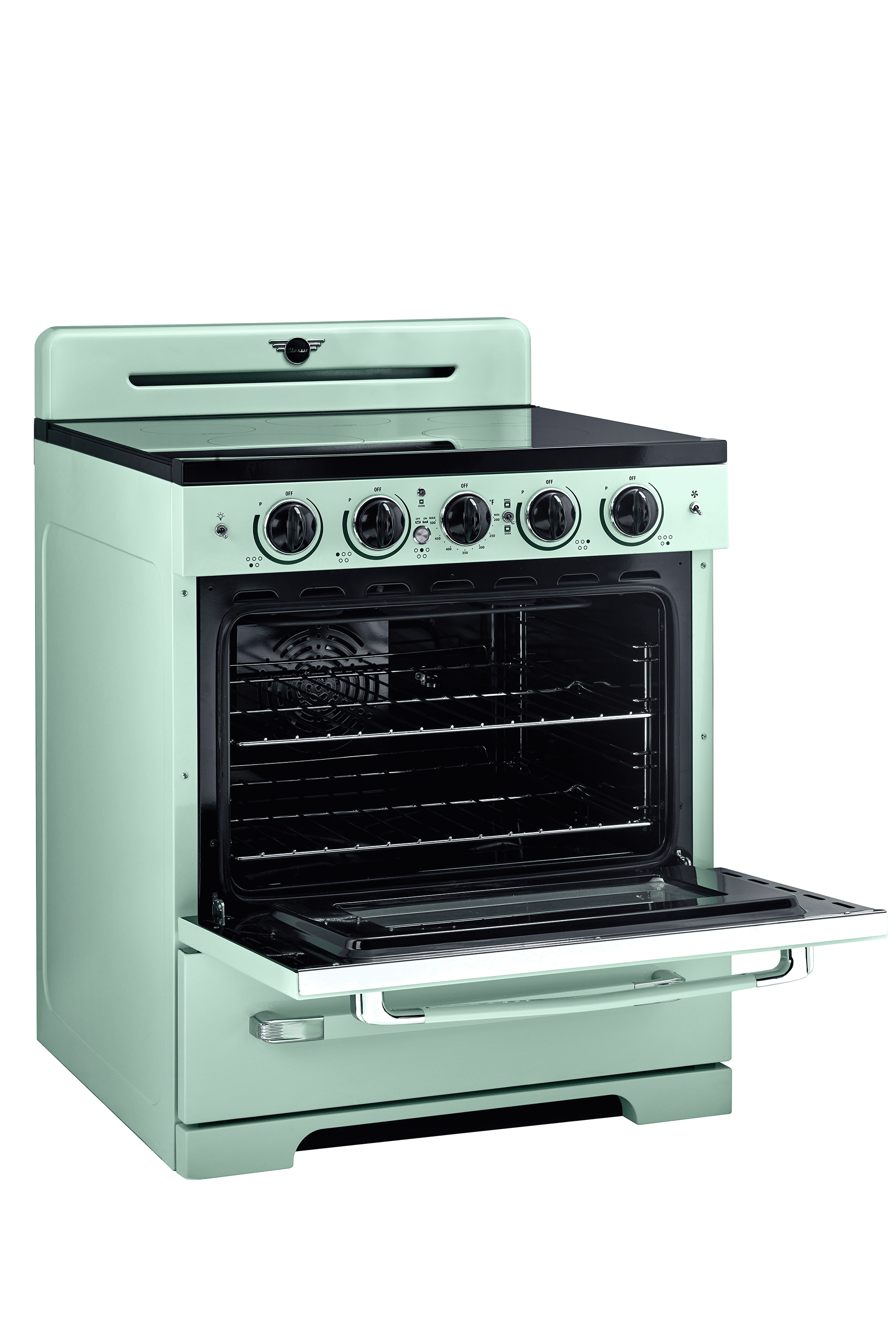 Unique 30' Classic Retro Induction Range, Summer Mint Green