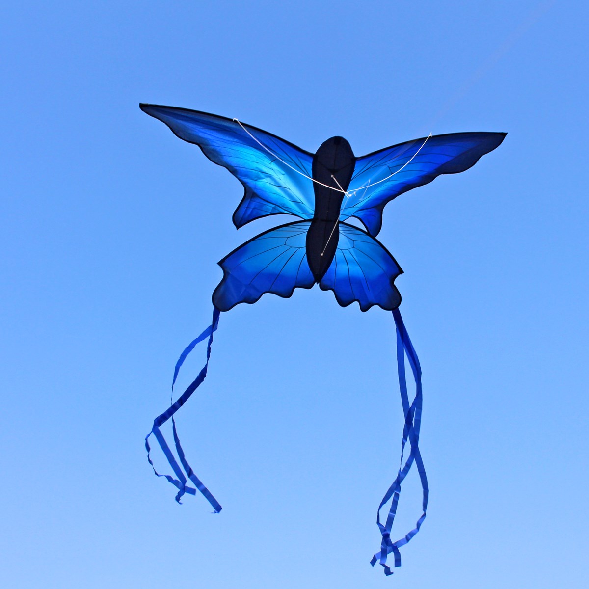 150cm Long Tail Beautiful Butterfly Kite Outdoor Fun Sports Single Line