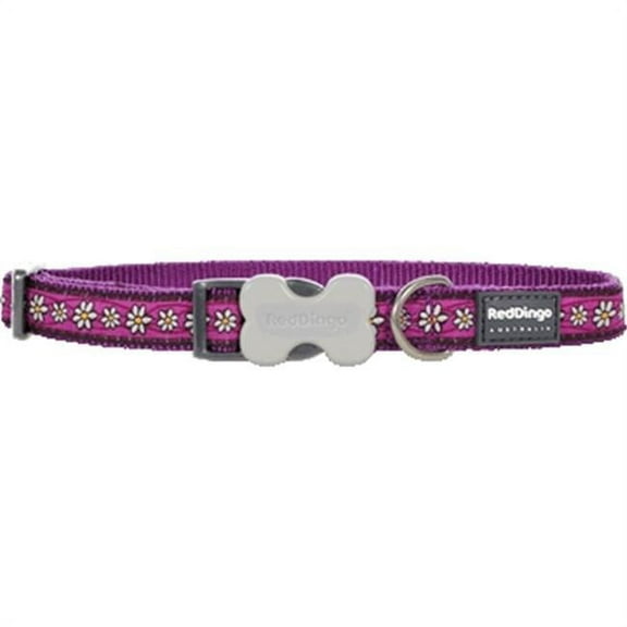 Red Dingo Design Daisy Chain Purple Dog Collar