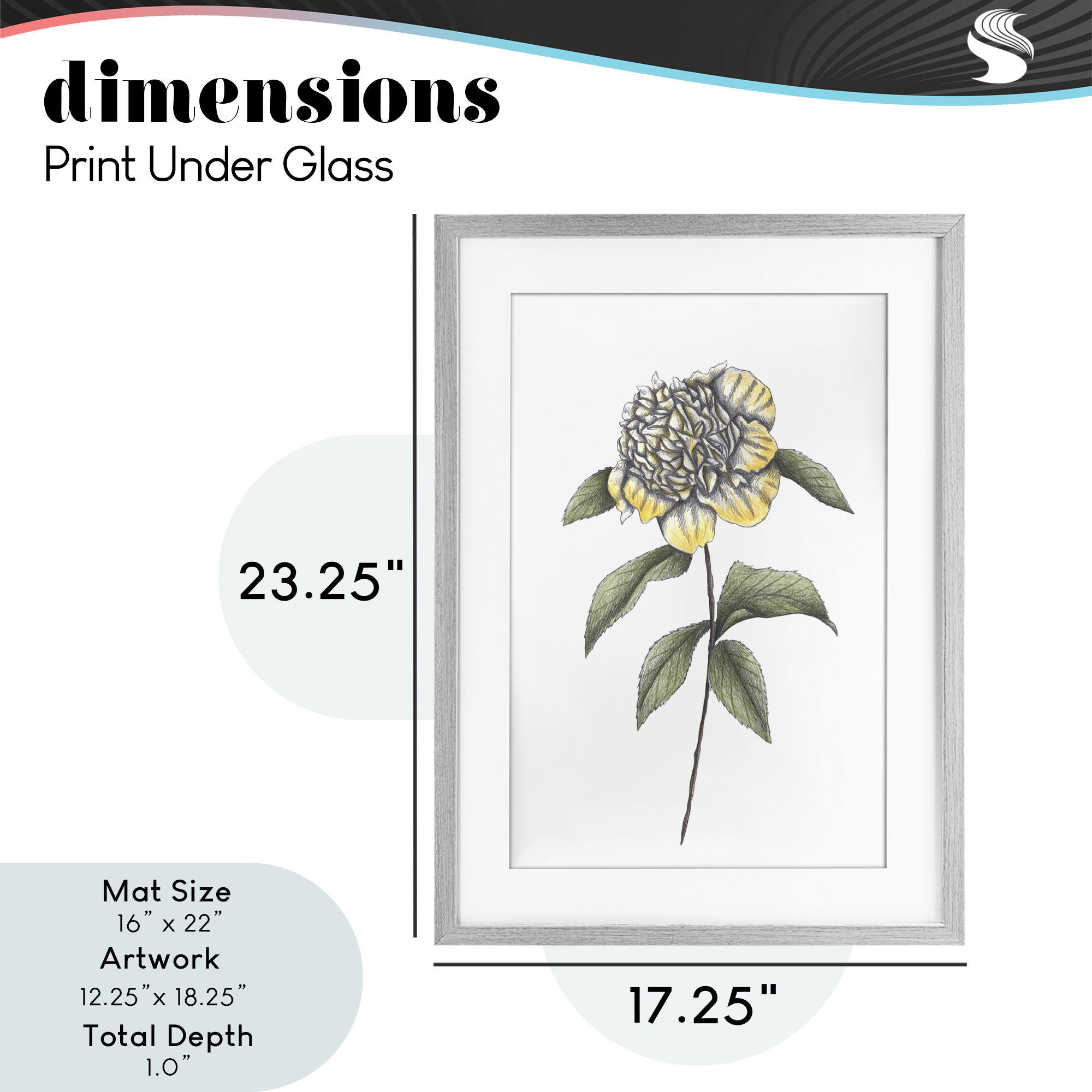 Camellia Flower Illustration Gray Framed Print Under Glass, design by Cecilia Battaini