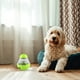 thumbnail image 1 of Juguetes Para Perros: Rompecabezas Enriquecedor, Dispensador De Comida, Entrenamiento De Inteligencia Para Perros Pequeños Y Medianos, 1 of 4