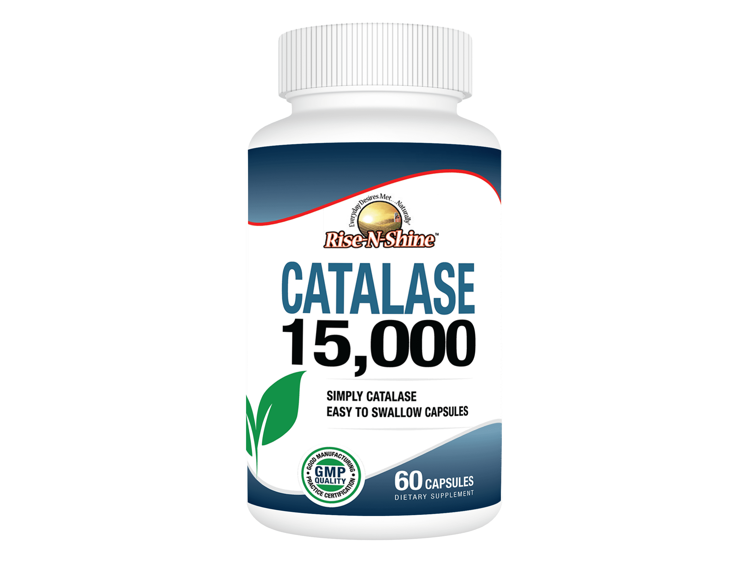 Catalase 15,000 Pure Catalase AntiAging Antioxidant Enzyme 60 Count