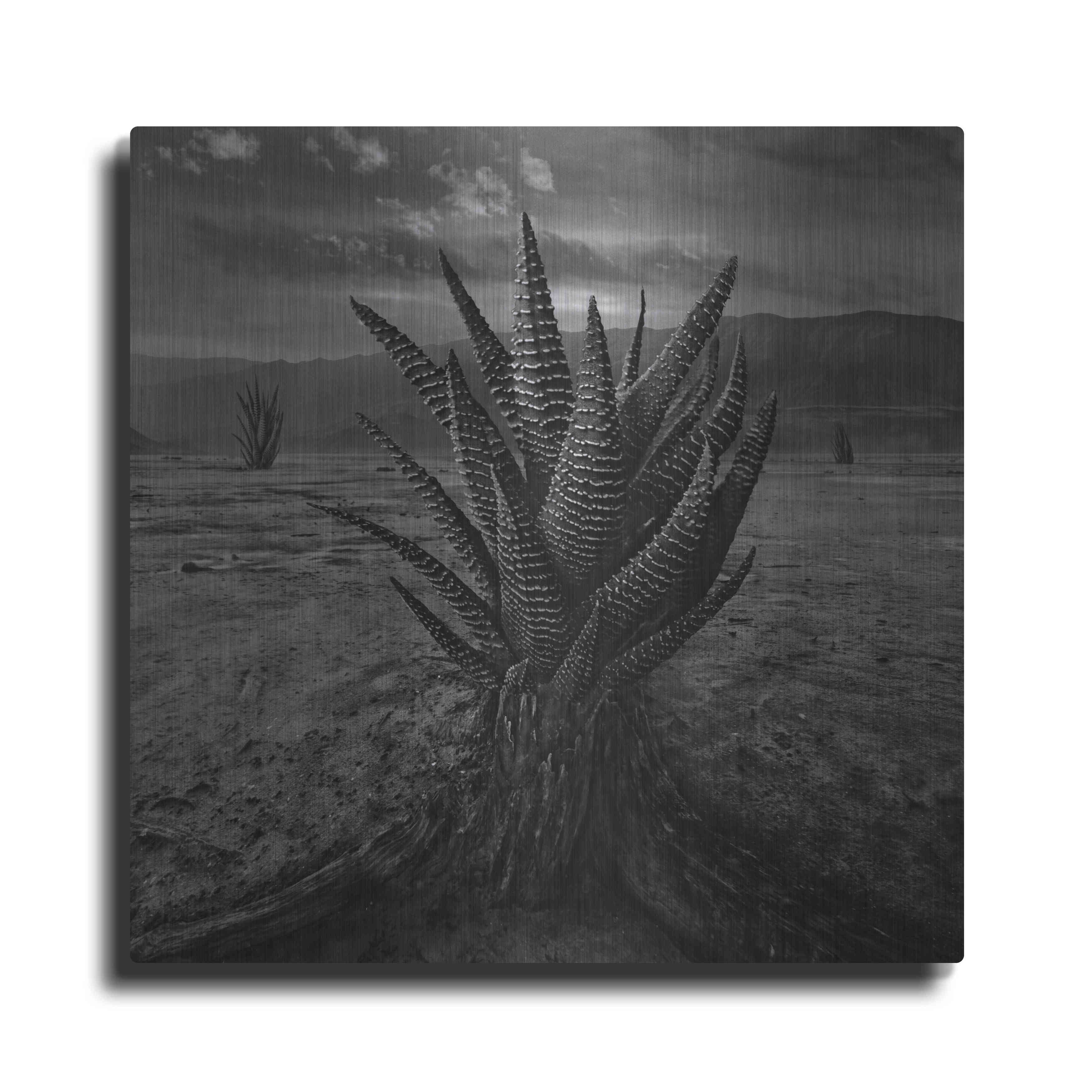 Surreal Black and White Cactus Metal Wall Art, 12" x 12"