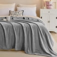 thumbnail image 6 of IR Imperial Rooms Fleece Bed Throw Blanket, Plush, Travel and Couch Fuzzy, Cozy Washable Ultrasoft Throw Size Silver/Light Gray, 6 of 13