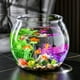 thumbnail image 4 of Acuario de pecera transparente, micropaisaje, paisajismo, plástico, resistente al tacto, resistente a caídas, tanque para tortugas, multifuncional, pequeño, de escritorio, tanque para peces de colores, 4 of 6