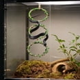thumbnail image 4 of Reptile Climbing Decor, Snake Climbing Rings for Ball Python & Corn Snake, Reptile Toys, Enrichment Pet Toys & Tank Cage Decor, Habitat Accessories for Terrarium, 4 of 7