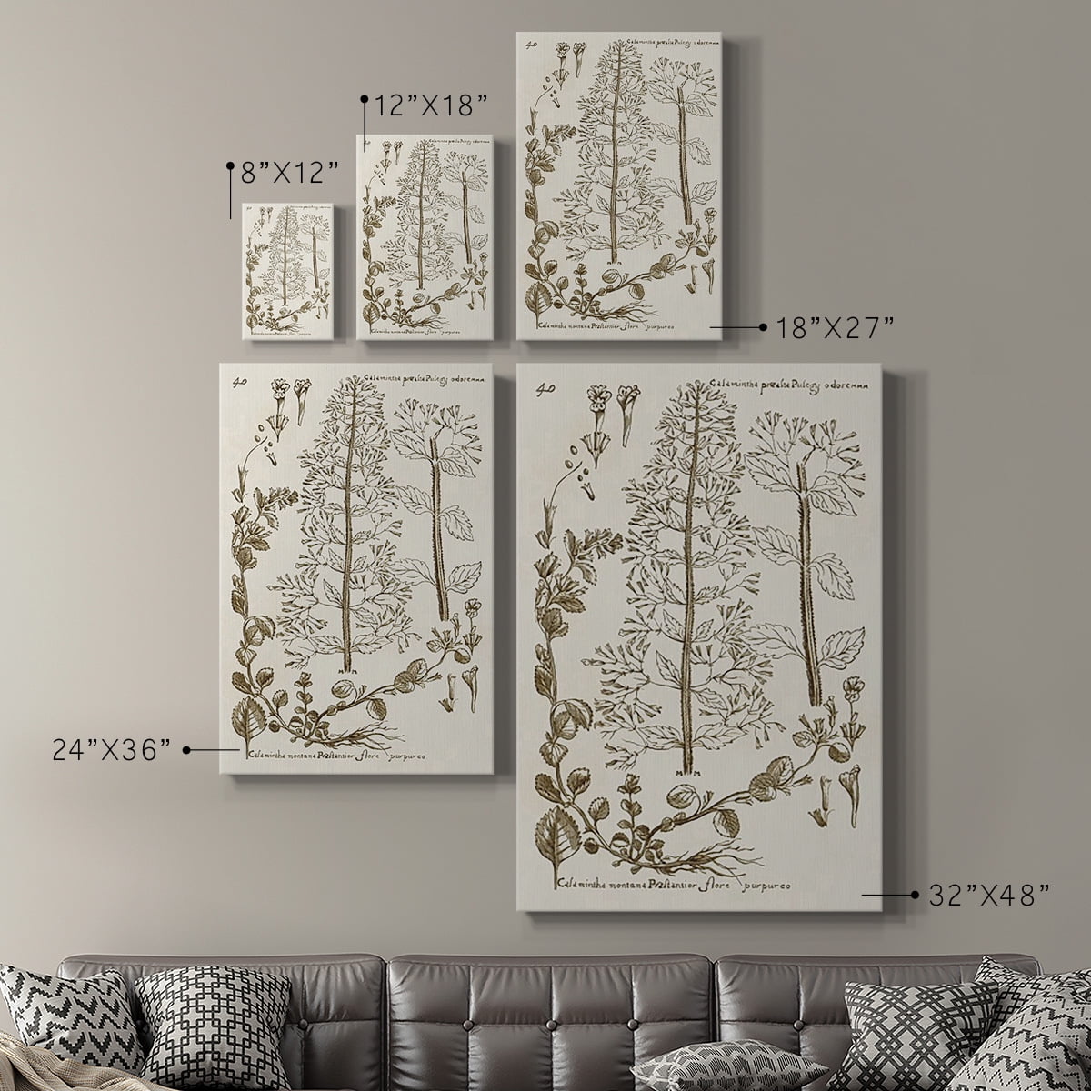 Sepia Botanical Journal V Premium Gallery Wrapped Canvas - Ready to Hang