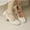 Beige, variant on WQJNWEQ Shoes Women Bridal Pearl Bow Ribbon Wedding for 2023 New Head Middle Heel Comfortable Thick Heel Fall Sale