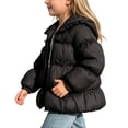 thumbnail image 3 of Jalioing Toddler Girls Puffer Coat Winter Fashion Thermal Long Sleeve Zipper Up Puffy Jacket Kids Outerwear with Hood, 3 of 5