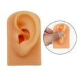 thumbnail image 3 of facefd Silicone Soft Ear Model Teaching Tool Display Props Skin, 3 of 9