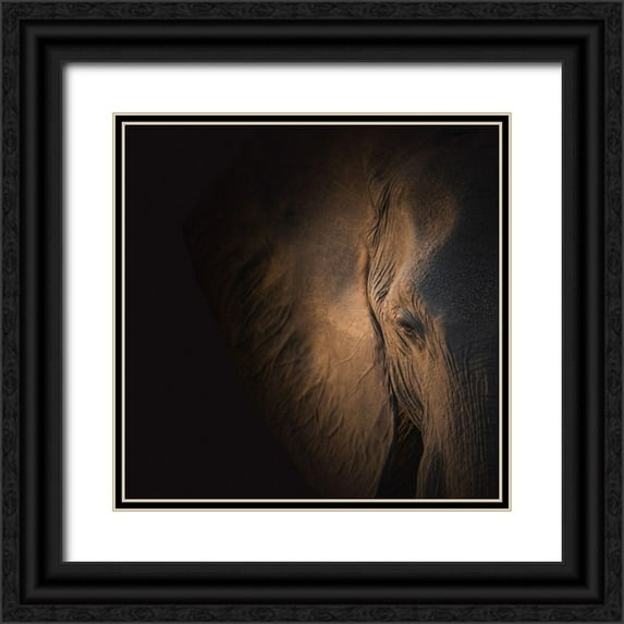 Wolbers, Louise 20x20 Black Ornate Wood Framed with Double Matting Museum Art Print Titled - Gentle Giant
