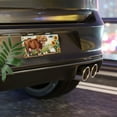thumbnail image 6 of License Plate, Cow and Rabbit in Spring Scene Decorative Front,Personalized Stainless Steel License Plate Cover For Men Women,12.2" X 6.2", 6 of 6