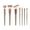Champagne Gold, variant on 7Pcs Portable Makeup Brush Set Beginner Full Cosmetic Brushes Eyeshadow Foundation Blush Beauty Tool Kit