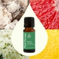 thumbnail image 3 of Plant Therapy Crave Control Essential Oil Blend 10 mL (1/3 oz) 100% Pure, Undiluted, Therapeutic Grade, 3 of 7
