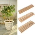 thumbnail image 5 of JZROCKER 50 Pieces Cane Plant Support Bamboo Sticks Garden Plant Grow Wooden Supports, 5 of 15