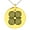 Gold, variant on Stainless Steel Aztec Strength Rune Engraved Small Medallion Circle Charm Pendant Necklace