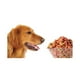 thumbnail image 2 of Alimento Kirkland Signature Super Premium Para Perro Adulto  Sabor Pollo/arroz/vegetales En Bolsa De 18kg Kirkland Signature Super Premium, 2 of 2